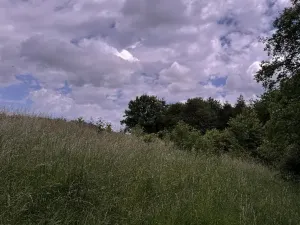 Prodej podílu pozemku, Suchdol, 3247 m2