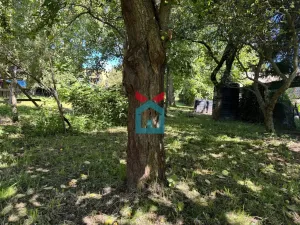 Prodej rodinného domu, Valašské Meziříčí, J. K. Tyla I, 290 m2