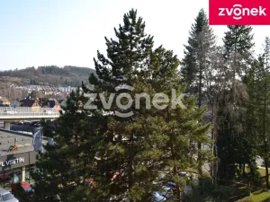 Pronájem bytu 2+1, Vsetín, 55 m2