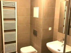 Pronájem bytu 1+kk, Olomouc, Dolní novosadská, 43 m2