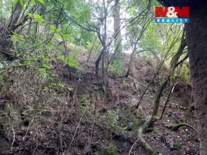 Prodej rodinného domu, Horosedly, 52 m2