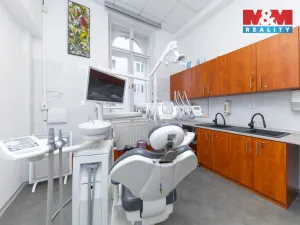 Pronájem komerční nemovitosti, Brno - Brno-město, Masarykova, 13 m2