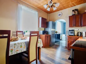 Prodej bytu 4+1, Ústí nad Labem - Ústí nad Labem-centrum, Hostovická, 240 m2