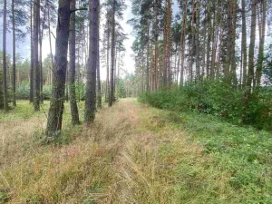 Prodej pozemku, Kladruby - Tuněchody, 1744 m2