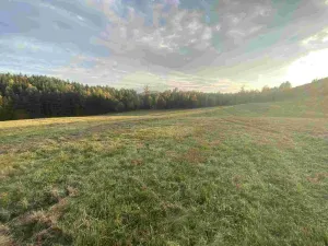 Prodej pole, Cvikov - Trávník, 7470 m2