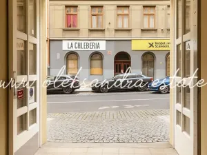 Prodej bytu 1+1, Praha - Žižkov, Husitská, 39 m2