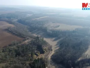 Prodej louky, Vysoká, 1003 m2