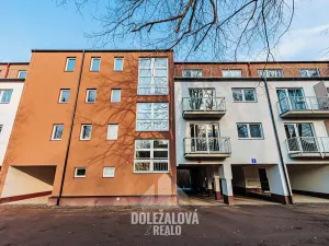 Pronájem bytu 1+kk, Třešť, Nádražní, 30 m2