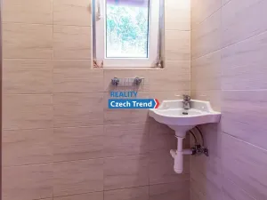 Prodej chaty, Velký Týnec, 60 m2