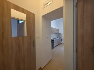 Pronájem bytu 1+1, Brno, Kabátníkova, 40 m2