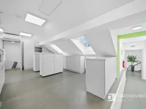 Prodej obchodního prostoru, Pardubice, K Dolíčku, 374 m2