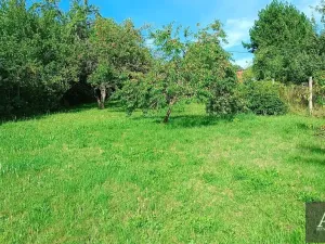 Prodej chaty, Uherský Brod, 25 m2