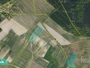 Prodej podílu 1/8 pole, Hlavečník, 3089 m2