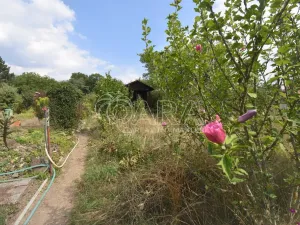 Pronájem zahrady, Praha, 165 m2