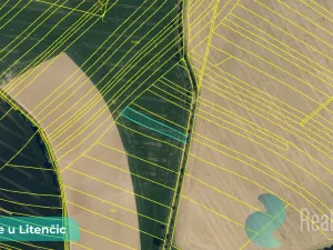 Prodej podílu 1/2 pole, Hoštice, 729 m2