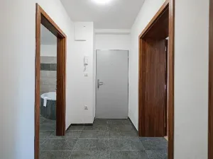 Pronájem apartmánu, Ostrava, Riegrova, 300 m2
