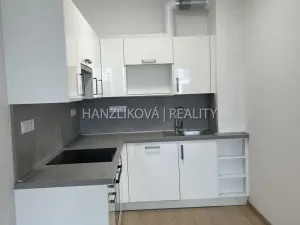 Pronájem bytu 2+kk, České Budějovice - České Budějovice 2, Na Samotách, 52 m2
