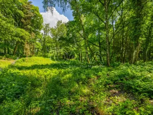 Prodej pozemku pro bydlení, Hrubá Skála, 5519 m2