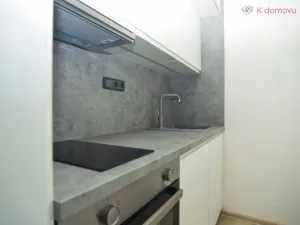 Pronájem bytu 1+kk, Brno, Francouzská, 30 m2