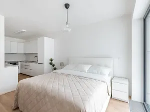 Pronájem bytu 1+kk, Brno, Lidická, 41 m2