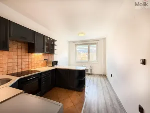 Prodej bytu 3+1, Osek, Slovenská, 75 m2