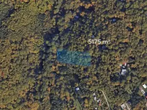 Prodej podílu lesa, Brno, 431 m2