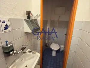 Prodej obchodního prostoru, Dačice, B. Němcové, 600 m2