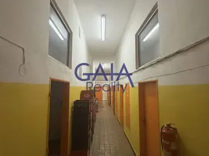 Prodej obchodního prostoru, Dačice, B. Němcové, 600 m2