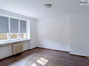 Pronájem bytu 2+1, Teplice, Duchcovská, 55 m2