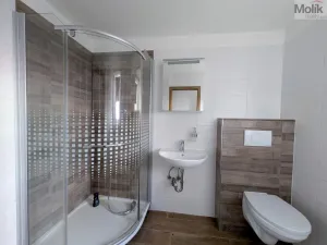 Pronájem bytu 2+1, Teplice, Duchcovská, 55 m2