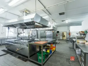 Prodej restaurace, Krásný Dvůr - Vysoké Třebušice, 600 m2