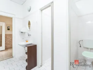 Prodej restaurace, Krásný Dvůr - Vysoké Třebušice, 600 m2