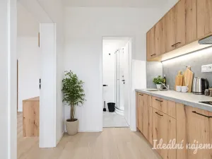 Pronájem bytu 1+1, Brno, Bubeníčkova, 25 m2