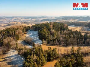 Prodej lesa, Nišovice, 14147 m2