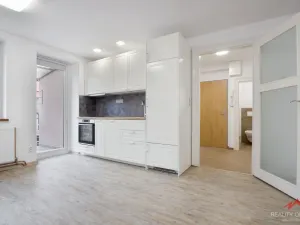 Prodej bytu 2+kk, Děčín - Děčín IV-Podmokly, Raisova, 52 m2