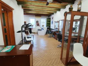 Pronájem komerční nemovitosti, Hlučín, Ostravská, 50 m2