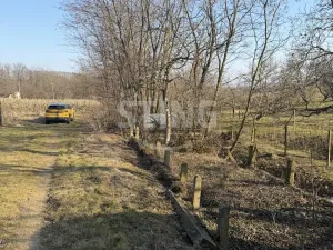 Prodej sadu/vinice, Miroslavské Knínice, 4555 m2