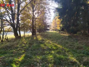 Prodej louky, Kynšperk nad Ohří, 20332 m2