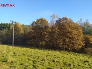 Prodej louky, Kynšperk nad Ohří, 20332 m2