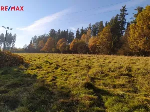 Prodej louky, Kynšperk nad Ohří, 20332 m2