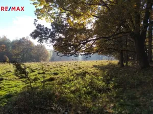 Prodej louky, Kynšperk nad Ohří, 20332 m2