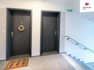 Pronájem bytu 1+kk, Plzeň, Františka Kováříka, 38 m2