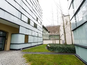 Pronájem bytu 2+kk, Praha - Karlín, Šaldova, 51 m2