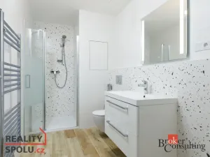 Prodej bytu 2+kk, Plzeň - Jižní Předměstí, Železná, 55 m2