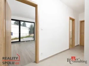 Prodej bytu 2+kk, Plzeň - Jižní Předměstí, Železná, 55 m2