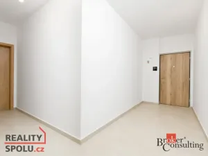 Prodej bytu 2+kk, Plzeň - Jižní Předměstí, Železná, 55 m2