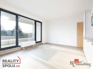 Prodej bytu 2+kk, Plzeň - Jižní Předměstí, Železná, 55 m2