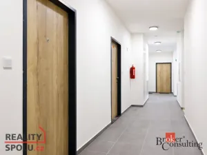 Prodej bytu 2+kk, Plzeň - Jižní Předměstí, Železná, 55 m2