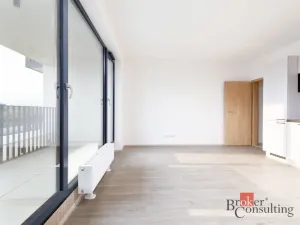 Prodej bytu 2+kk, Plzeň - Jižní Předměstí, Železná, 55 m2