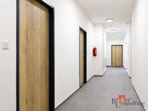 Prodej bytu 2+kk, Plzeň - Jižní Předměstí, Železná, 55 m2